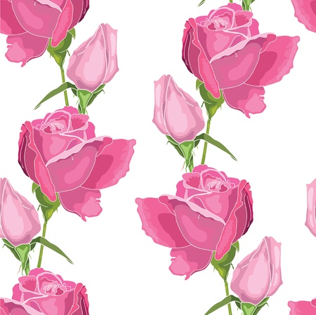 Pink roses on the white  backgroundのイラスト素材
