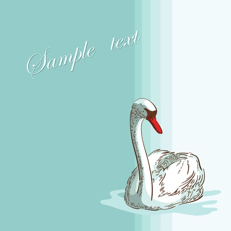 Swan on the  blue backgroundのイラスト素材