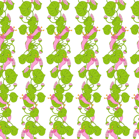 Pink flowers on the whiteのイラスト素材