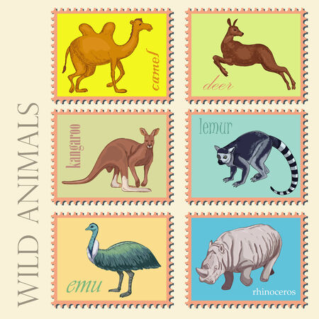 Wild animals from Africa and Australiaのイラスト素材