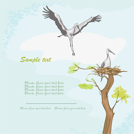 Storks and nestのイラスト素材