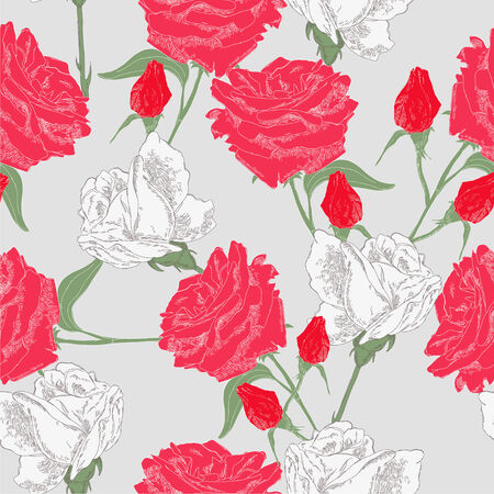 Red and white rosesのイラスト素材