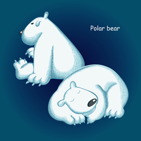 Funny  polar bearのイラスト素材