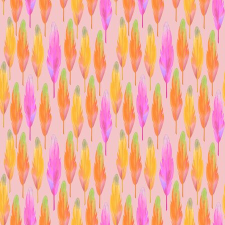 Pink background with  feathersの写真素材