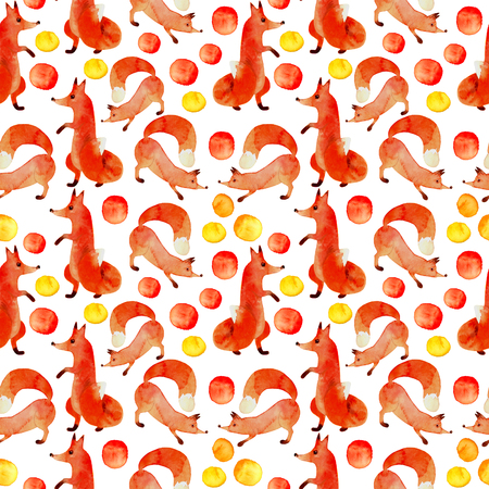 Reds fox on white backgroundの写真素材