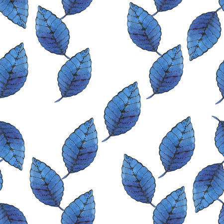 White background and blue leafの写真素材