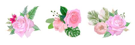 Three compositions with roses for cards and other designのイラスト素材