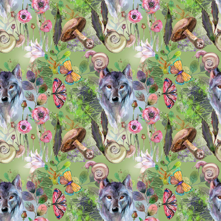 Bright drawings of forest lifeの写真素材