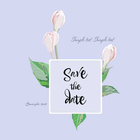 Card for wedding and birthdayのイラスト素材
