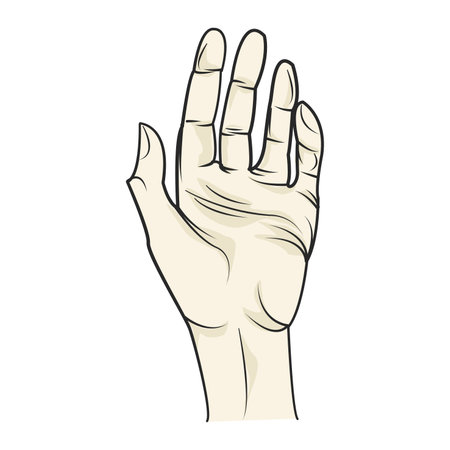 Hand gesture. Vector illustration. Isolated on a white background.のイラスト素材