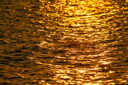 The light of the morning sun over the river. Golden reflections above the water surface There is a wave of golden waves. Golden river of sunlight.の写真素材