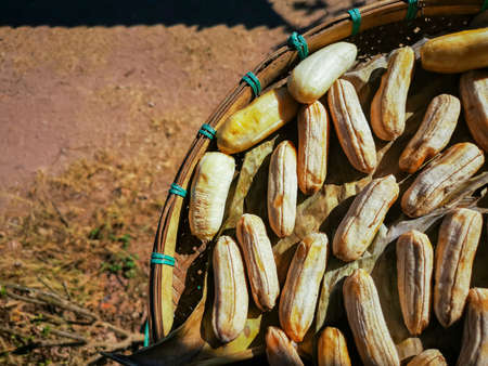 Dried bananas on bamboo basket weaving Secondary with dry banana leaves. Rural food preservation methods. Preserved for a long time Dried bananas have a sweet taste, providing energy, high vitamin food.の写真素材