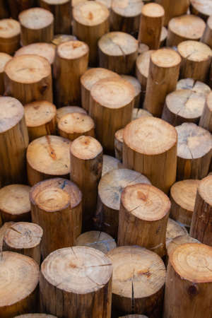 Cross-section of eucalyptus poles, stocked for use as bracing, construction scaffolding posts, house posts and for the pulp industry.の写真素材