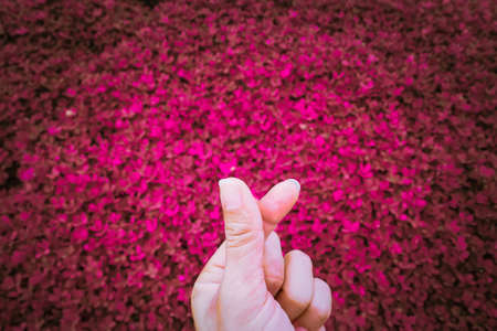 Mini heart, the symbol of love expression of the new generation. By using the fingertips to cross...