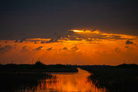 The sunrise Reflecting the water surface is golden yellow. Wetlands filled with plant black shadows...