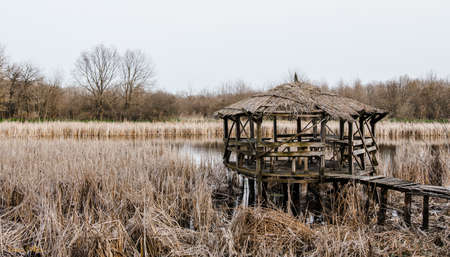 A small wooden gazebo on the reed-covered lake. A place in the forest.の写真素材