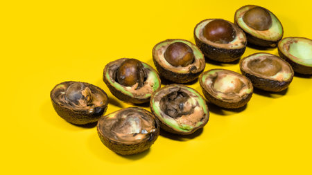 Creative Composition many Bad Avocado on yellow background. Unhelthy Food Concept. Copy space.の写真素材