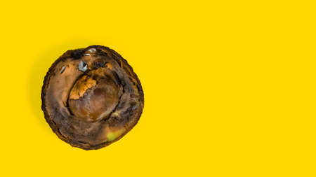 Rotten half Avocado on Yellow background. Close up details bad tropical Fruits. Contaminated Avocado. Yellow background contains Unhealthy Food. Copy space.の写真素材
