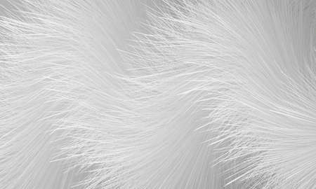 White fur vector abstract background. Light gray shaggy furry 3d hair texture. Fluffy white abstract background. Vector illustrationのイラスト素材