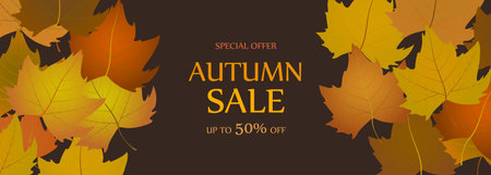 Autumn sale wide banner with autumn fall maple leaves. Abstract autumn background for shopping sale or promo poster. Vector illustrationのイラスト素材