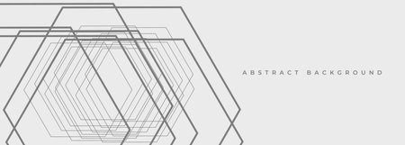 White abstract presentation background with gray outline lines. Soft grey wide banner with geometric shapes. Vector illustrationのイラスト素材