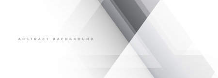 White and gray modern abstract background with geometric diagonal lines. Vector illustration wide bannerのイラスト素材