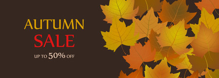 Autumn sale advertising banner design. Dark brown wide background with falling bright autumn leaves. Vector illustrationのイラスト素材