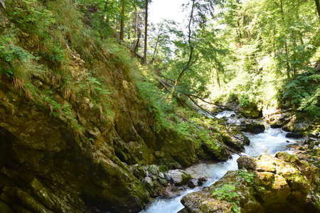 Vintgar gorge, a beautiful natural feature near Bled, Slovenia.の写真素材