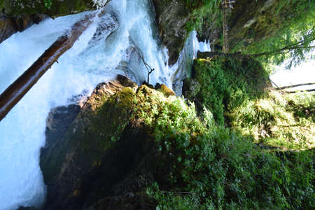 Vintgar gorge, a beautiful natural feature near Bled, Slovenia.の写真素材