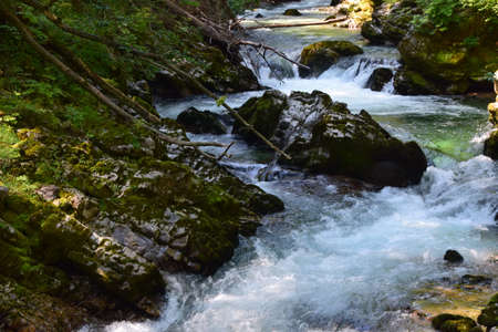 Vintgar gorge, a beautiful natural feature near Bled, Slovenia.の写真素材