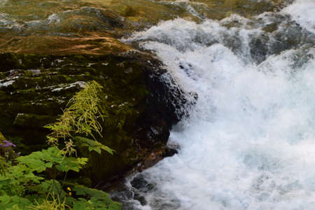 Vintgar gorge, a beautiful natural feature near Bled, Slovenia.の写真素材