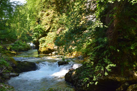 Vintgar gorge, a beautiful natural feature near Bled, Slovenia.の写真素材