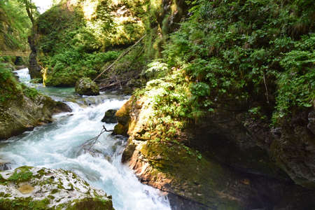 Vintgar gorge, a beautiful natural feature near Bled, Slovenia.の写真素材