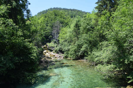 Vintgar gorge, a beautiful natural feature near Bled, Slovenia.