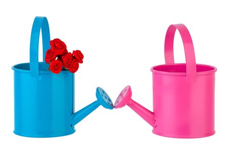 Garden watering canの写真素材