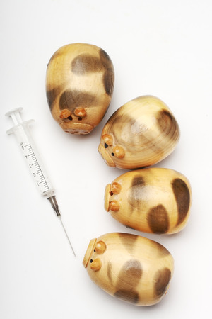 wood pig on white backgroundの写真素材