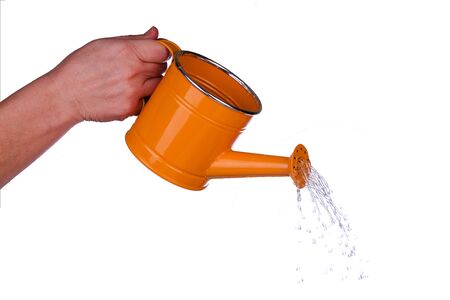 Garden watering canの写真素材