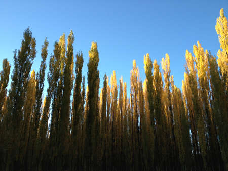 Autumn-Mendoza-Uspallata Argentina