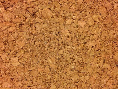 Cork woodの素材