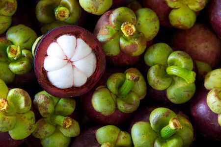 mangosteen tropical fruitの写真素材