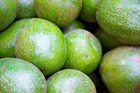 Avocado peterson varietyの写真素材