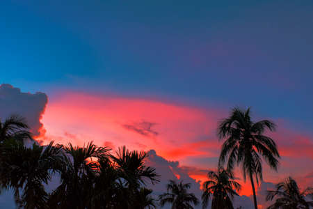 Colours of bluehour,I shoot it from my roof,Birati,Kolkata,India.の写真素材
