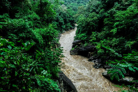 Natural scenery of river tropical green forest with mountainの写真素材