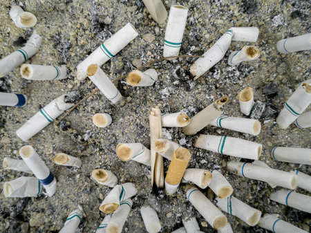 Cigarette butts in ashtrayの写真素材