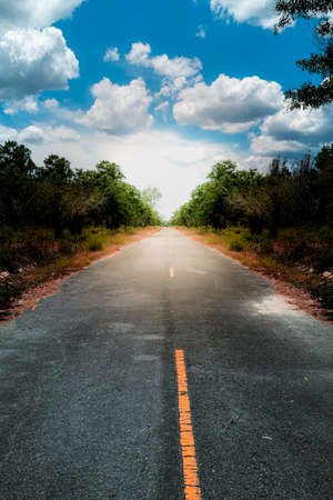 country road trees along at the countrysideの写真素材
