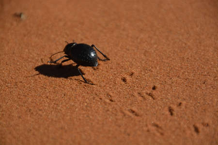 Morroco 2015の写真素材