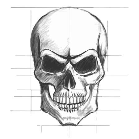 Skull pencil sketch vectorのイラスト素材
