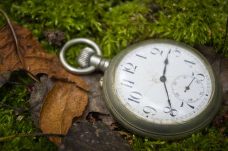 Vintage Antique pocket watch on the background of moss and dry leaves.
