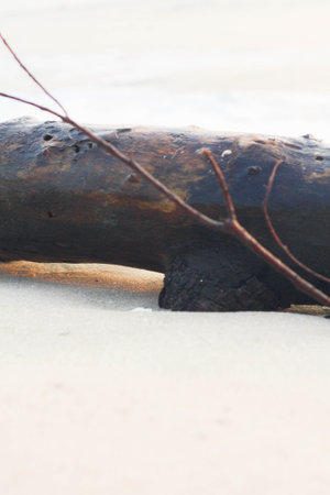 Bubbles on golden beach with ocean water in the morning at Thailand beaches.の写真素材