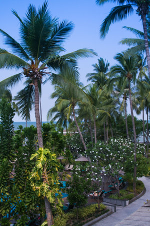 A lush tropical resort with a swimming pool surrounded by palm trees and lush greenery. The ocean can be seen in the distancの写真素材